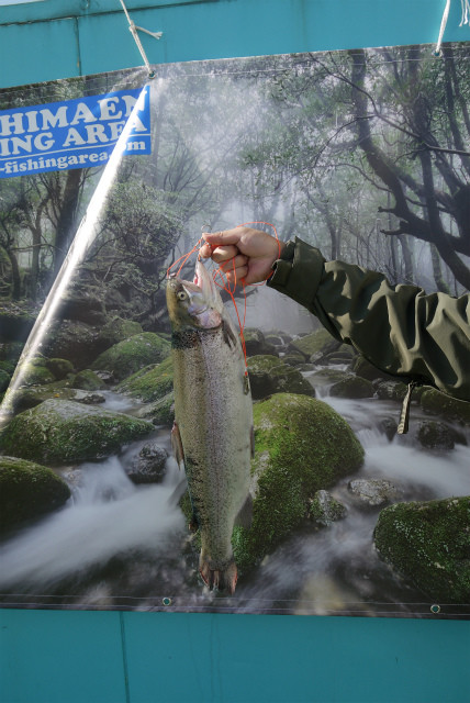 としまえんフィッシングエリア 釣果