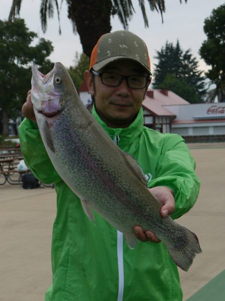 としまえんフィッシングエリア 釣果