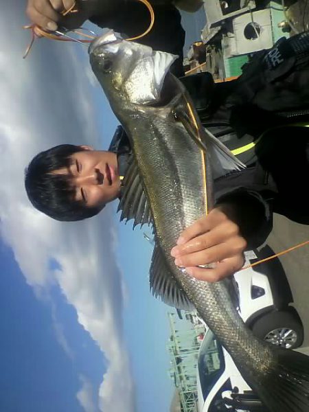 KO-SHIN丸 釣果