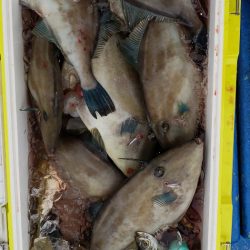 海龍丸（石川） 釣果