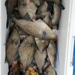 海龍丸（石川） 釣果