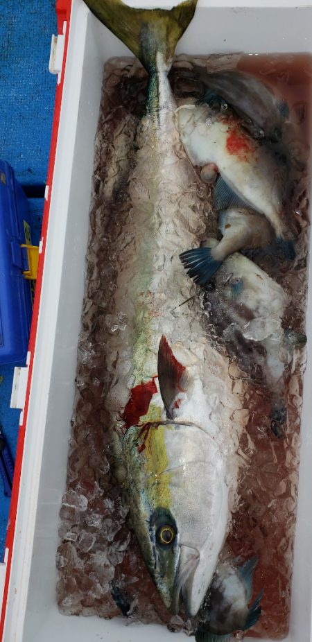 海龍丸（石川） 釣果