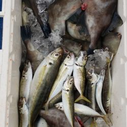 海龍丸（石川） 釣果