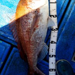 海龍丸（石川） 釣果