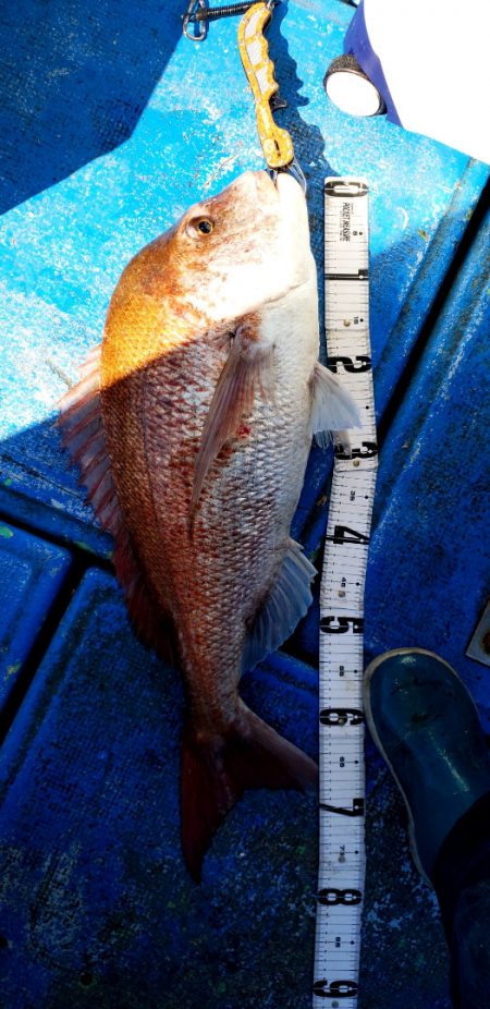 海龍丸（石川） 釣果