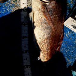 海龍丸（石川） 釣果