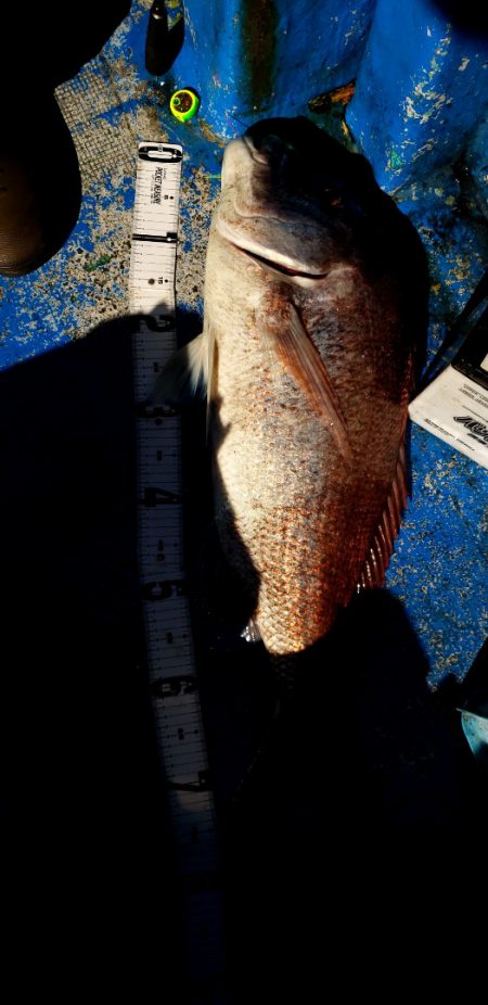 海龍丸（石川） 釣果