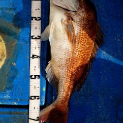 海龍丸（石川） 釣果