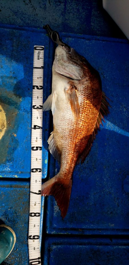 海龍丸（石川） 釣果