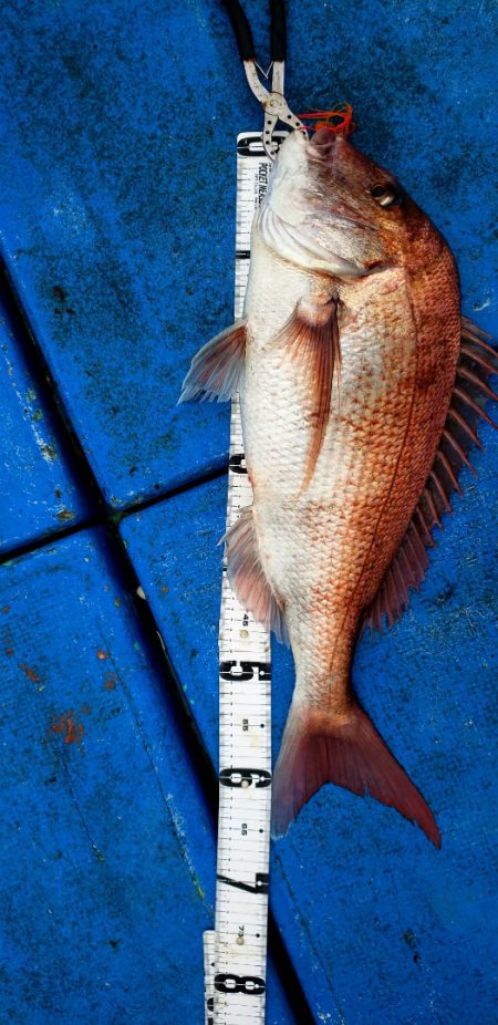 海龍丸（石川） 釣果