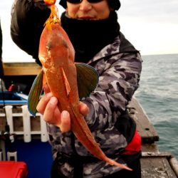 海龍丸（石川） 釣果