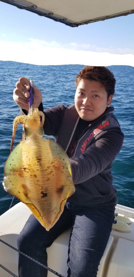 ソルトウォーターガイドフレンズ 釣果