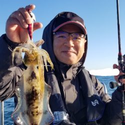 ソルトウォーターガイドフレンズ 釣果