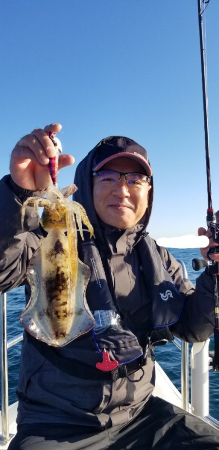 ソルトウォーターガイドフレンズ 釣果