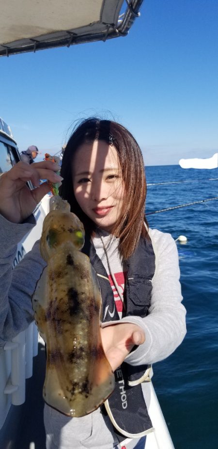 ソルトウォーターガイドフレンズ 釣果