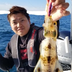 ソルトウォーターガイドフレンズ 釣果