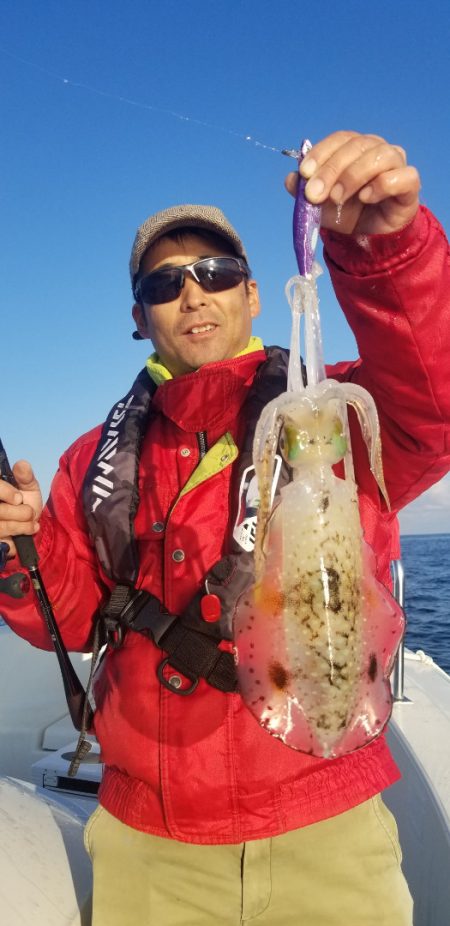 ソルトウォーターガイドフレンズ 釣果