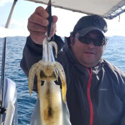 ソルトウォーターガイドフレンズ 釣果