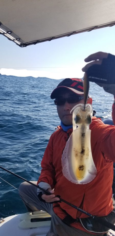 ソルトウォーターガイドフレンズ 釣果