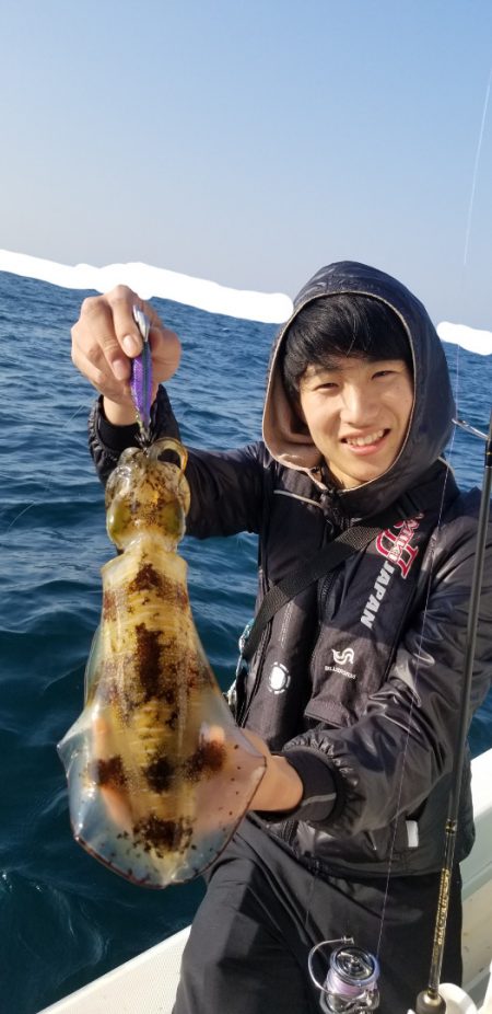 ソルトウォーターガイドフレンズ 釣果