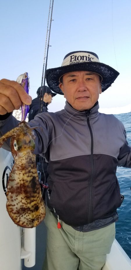 ソルトウォーターガイドフレンズ 釣果