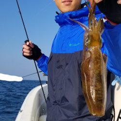 ソルトウォーターガイドフレンズ 釣果