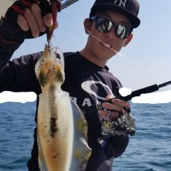 ソルトウォーターガイドフレンズ 釣果