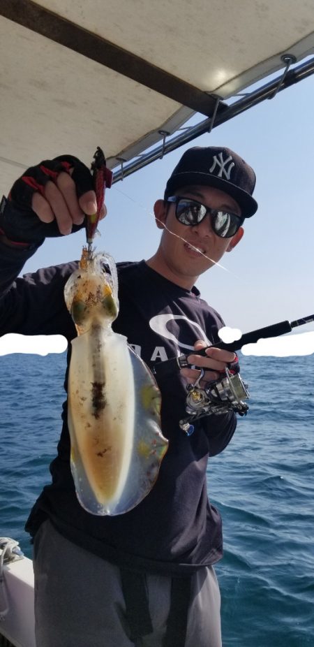 ソルトウォーターガイドフレンズ 釣果