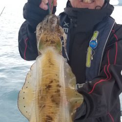 ソルトウォーターガイドフレンズ 釣果