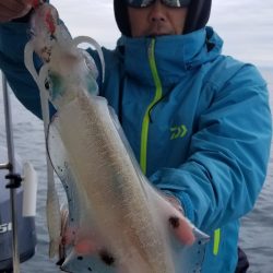 ソルトウォーターガイドフレンズ 釣果