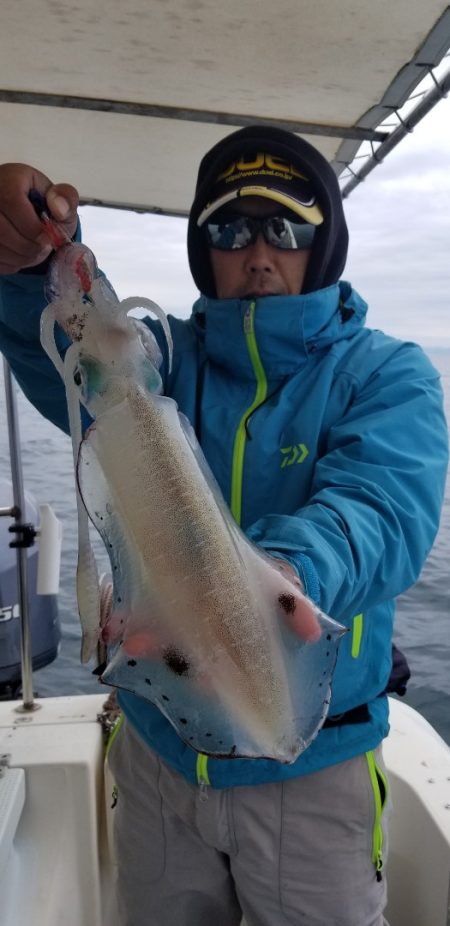 ソルトウォーターガイドフレンズ 釣果