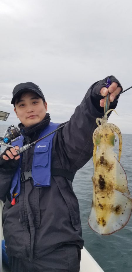 ソルトウォーターガイドフレンズ 釣果