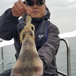 ソルトウォーターガイドフレンズ 釣果