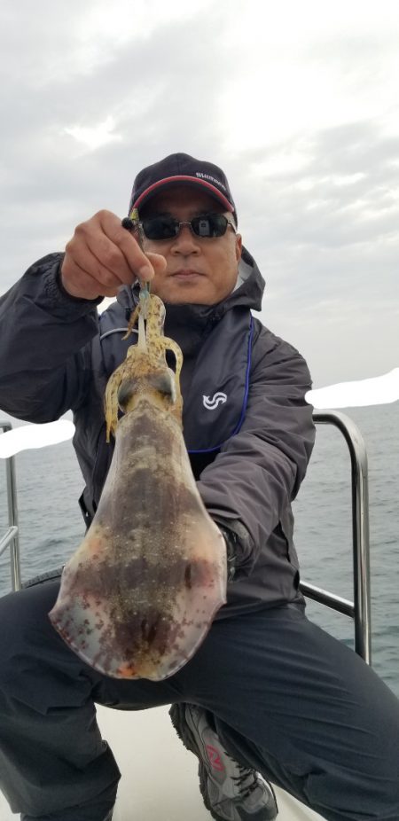 ソルトウォーターガイドフレンズ 釣果