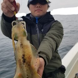 ソルトウォーターガイドフレンズ 釣果