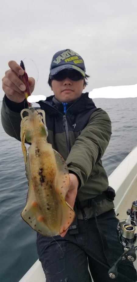 ソルトウォーターガイドフレンズ 釣果