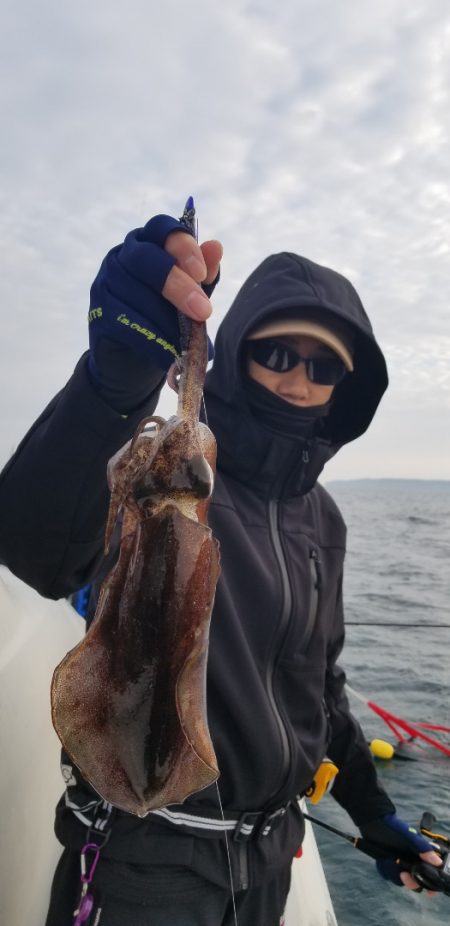 ソルトウォーターガイドフレンズ 釣果