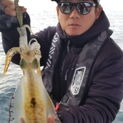 ソルトウォーターガイドフレンズ 釣果