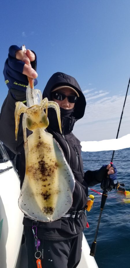 ソルトウォーターガイドフレンズ 釣果