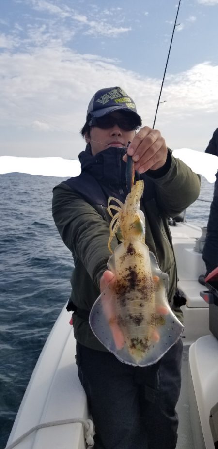 ソルトウォーターガイドフレンズ 釣果