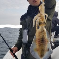 ソルトウォーターガイドフレンズ 釣果