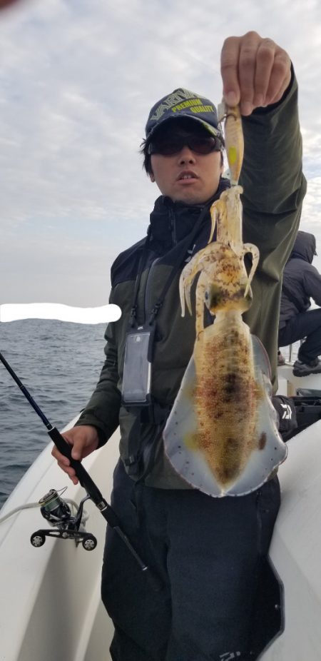 ソルトウォーターガイドフレンズ 釣果