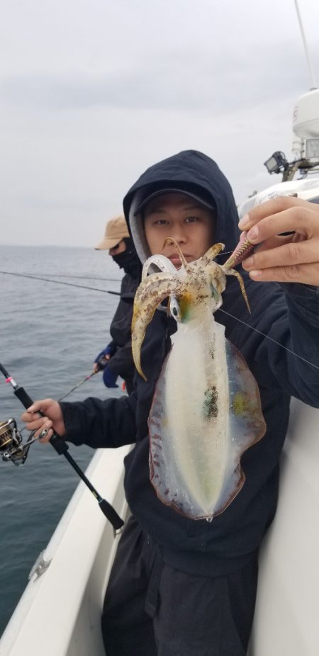 ソルトウォーターガイドフレンズ 釣果