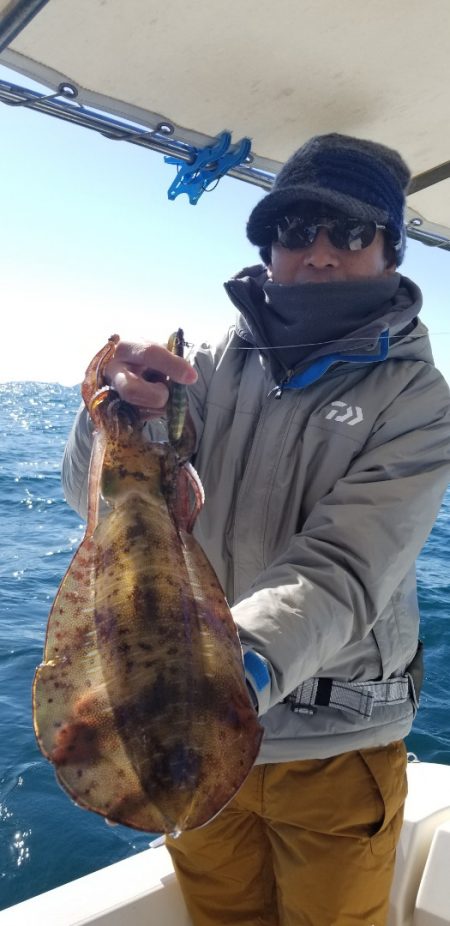 ソルトウォーターガイドフレンズ 釣果