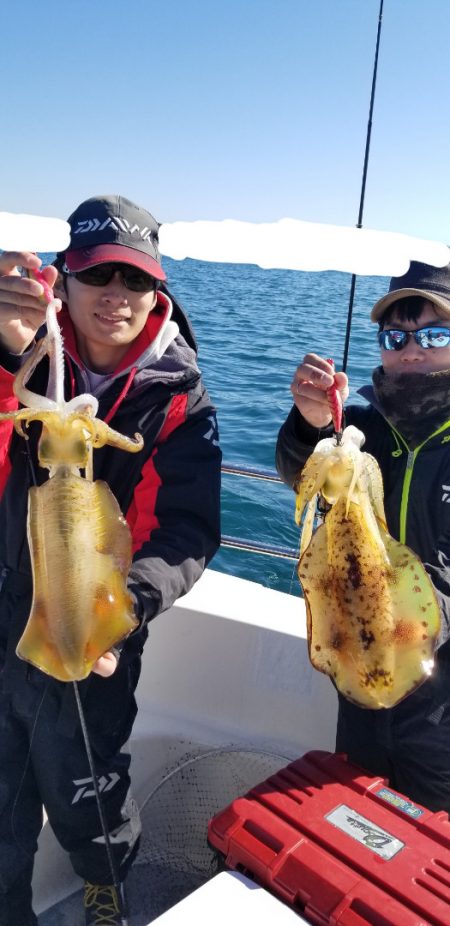 ソルトウォーターガイドフレンズ 釣果