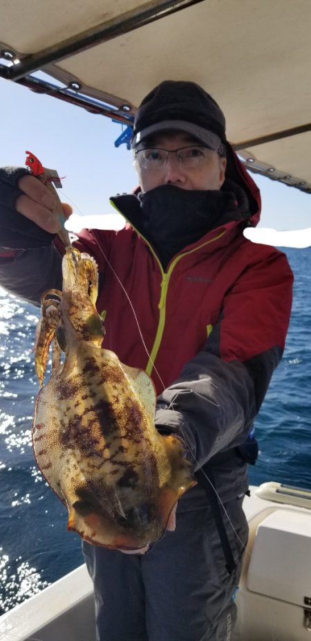 ソルトウォーターガイドフレンズ 釣果