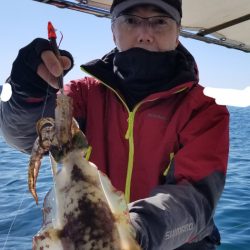 ソルトウォーターガイドフレンズ 釣果