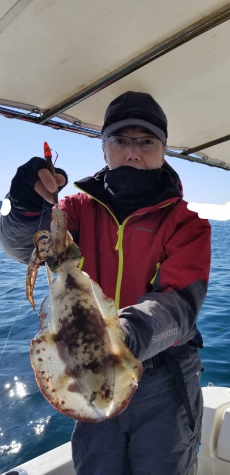 ソルトウォーターガイドフレンズ 釣果