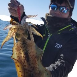 ソルトウォーターガイドフレンズ 釣果