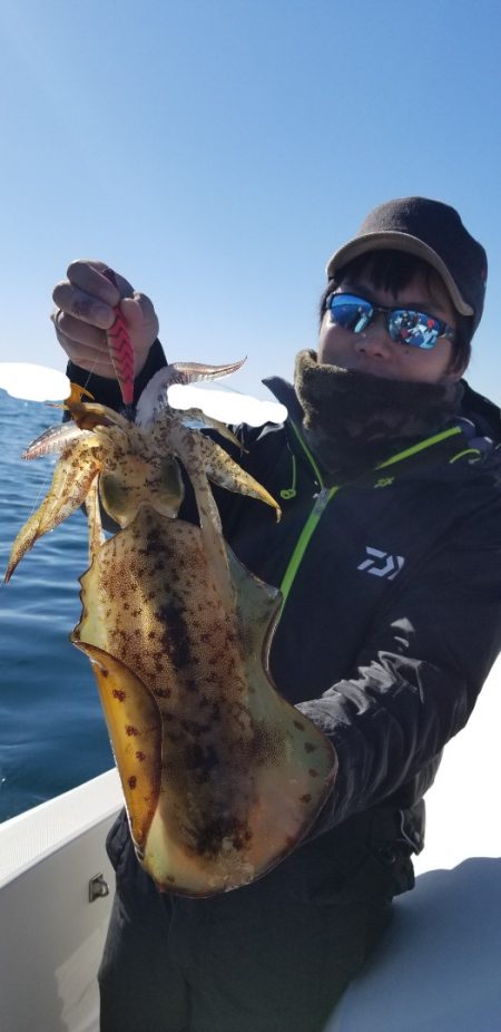 ソルトウォーターガイドフレンズ 釣果